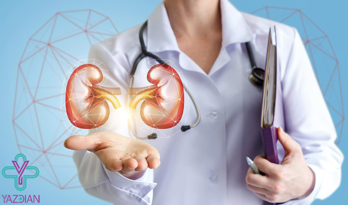 مکمل های گیاهی کلیه و مجاری ادراری